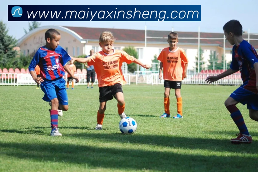 买球官方APP 体育赛事宣传图